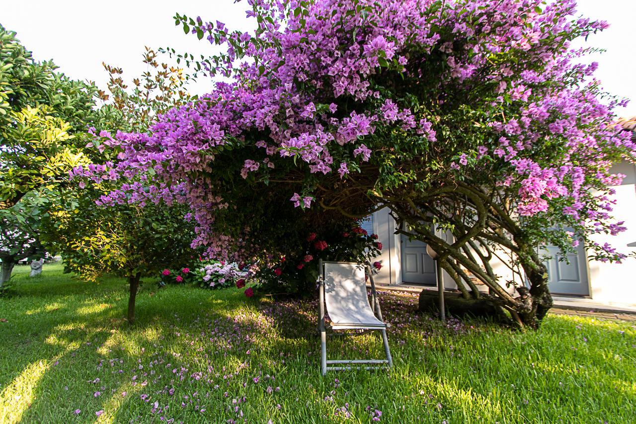 Villa Hermes San Ferdinando Exteriör bild